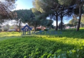 Terreno no urbanizable en venta en La Puebla del Río ref: TR252722 foto
