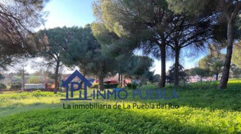 Sevilla - La Puebla del Río - 11000m2