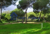 Finca rústica en venta en La Puebla del Río ref: TR322866 foto