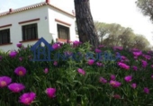 Finca rústica en venta en La Puebla del Río ref: TR322866 foto