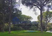 Finca rústica en venta en La Puebla del Río ref: TR322866 foto