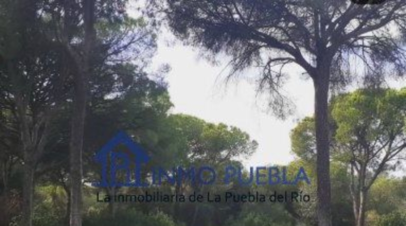 Sevilla - La Puebla del Río - 223m2