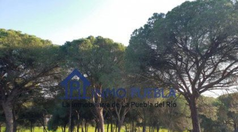 Sevilla - La Puebla del Río - 223m2
