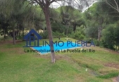 Finca rústica en venta en La Puebla del Río ref: TR322866 foto