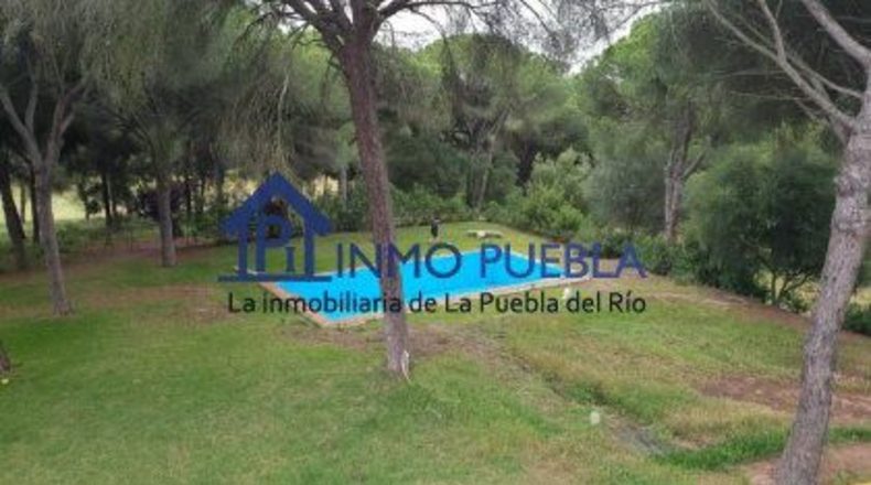 Sevilla - La Puebla del Río - 223m2