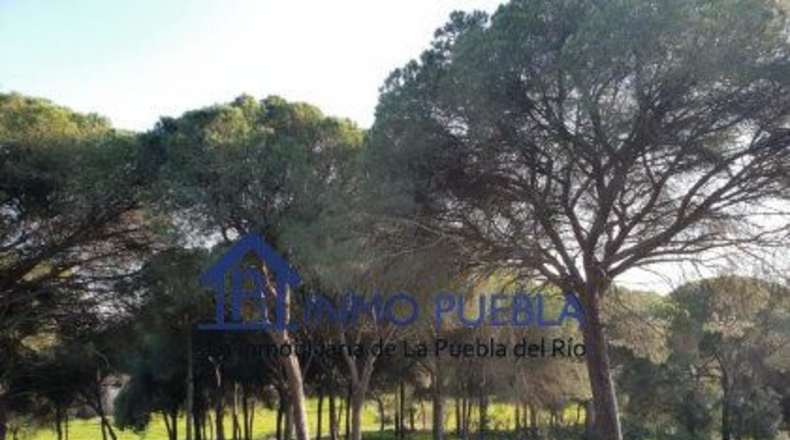 Sevilla - La Puebla del Río - 223m2