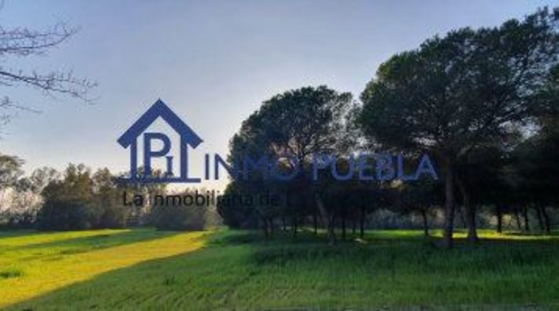 Sevilla - La Puebla del Río - 223m2