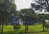 Finca rústica en venta en La Puebla del Río ref: TR322866 foto