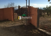 Finca rústica en venda a Vélez-Rubio ref.: TR15950 foto