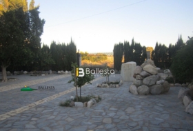Foto 12