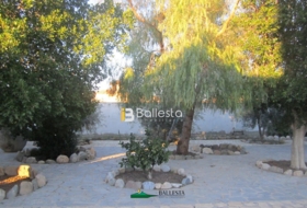 Foto 13
