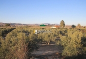 Finca rústica en venta en Huércal-Overa ref: TR15948 foto