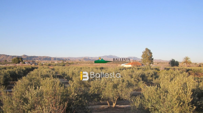 Almería - Huércal-Overa - 3m2