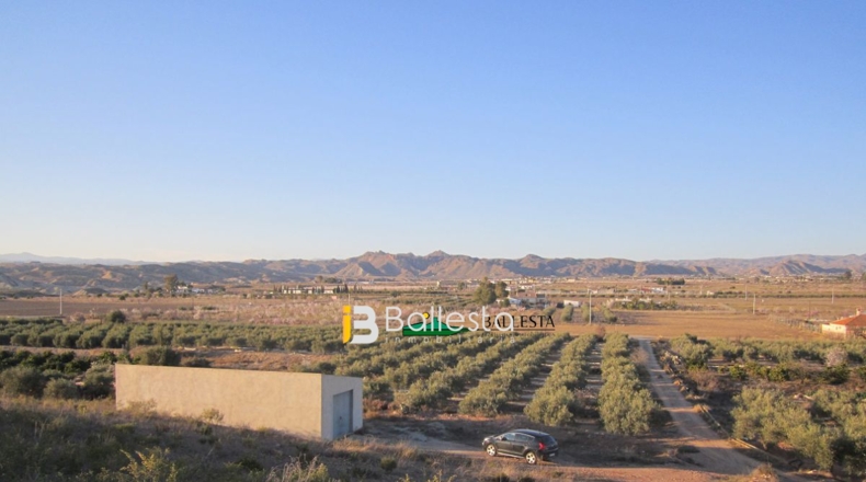 Almería - Huércal-Overa - 3m2