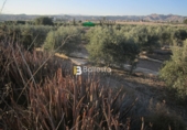 Finca rústica en venta en Huércal-Overa ref: TR15948 foto