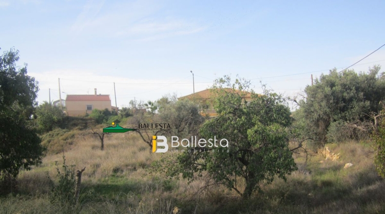 Almería - Huércal-Overa - 1900m2