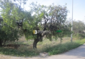 Sòl urbà en venda a Huércal-Overa ref.: TR53983 foto