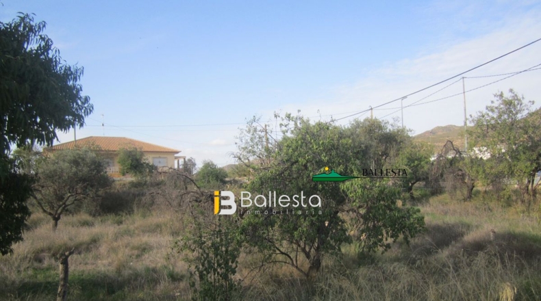 Almería - Huércal-Overa - 1900m2