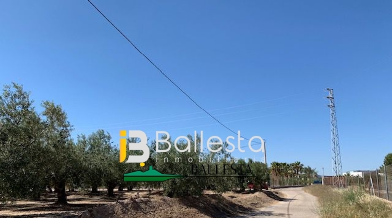 Almería - El Saltador - 10000m2