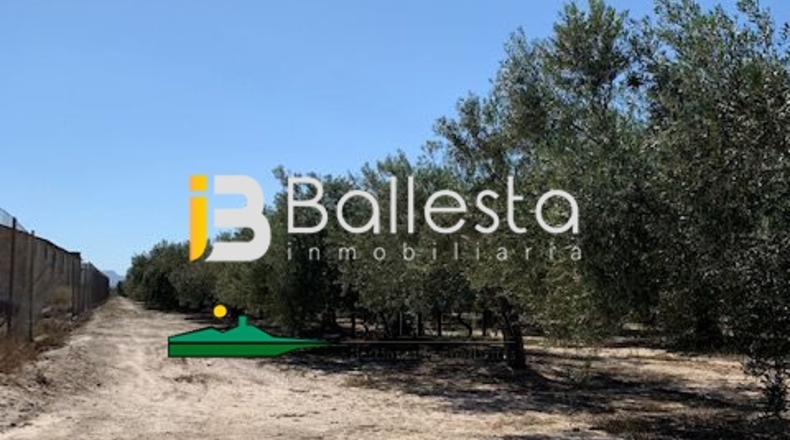 Almería - El Saltador - 10000m2
