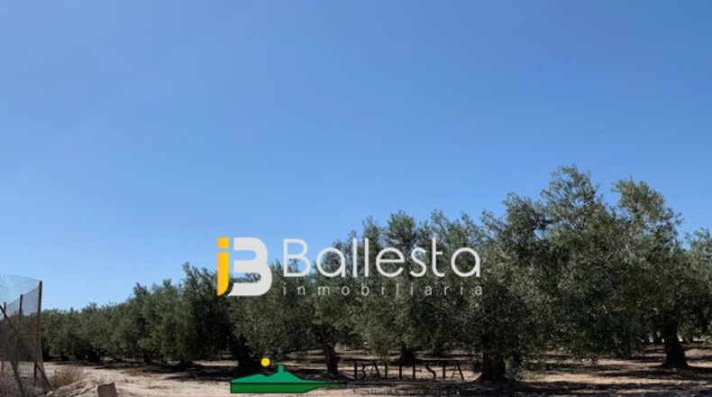 Almería - El Saltador - 10000m2