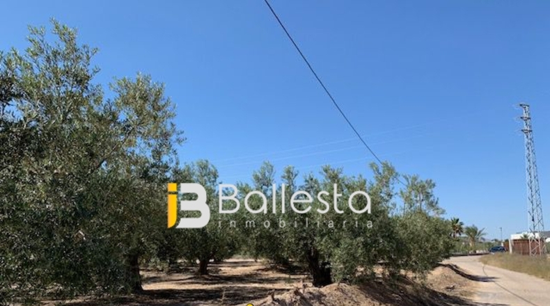 Almería - El Saltador - 10000m2