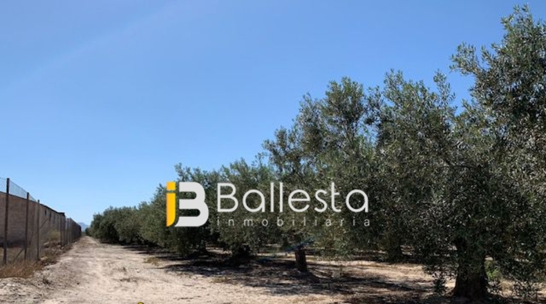Almería - El Saltador - 10000m2