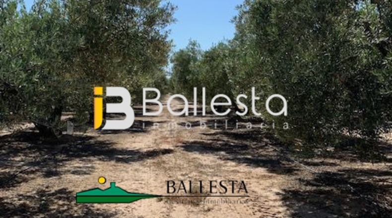 Almería - El Saltador - 10000m2
