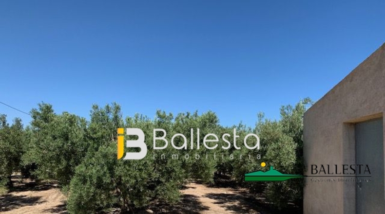 Almería - El Saltador - 10000m2