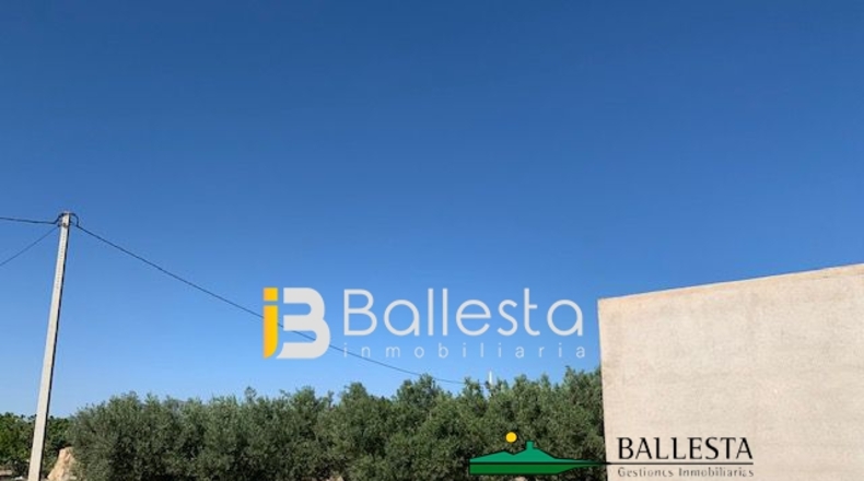 Almería - El Saltador - 10000m2
