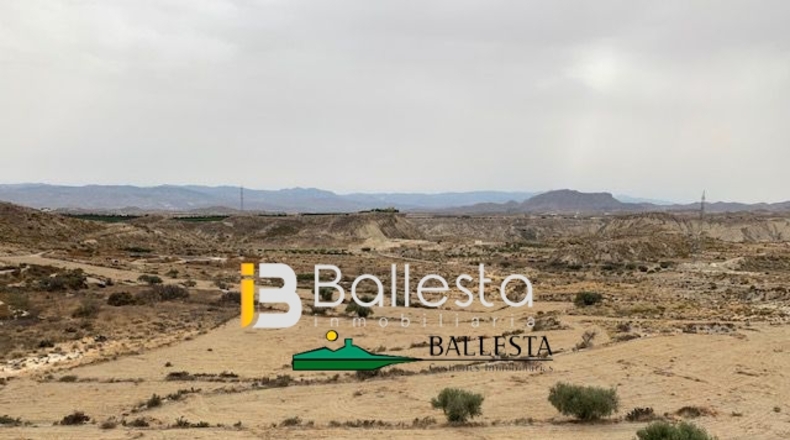 Almería - Huércal-Overa - 28000m2