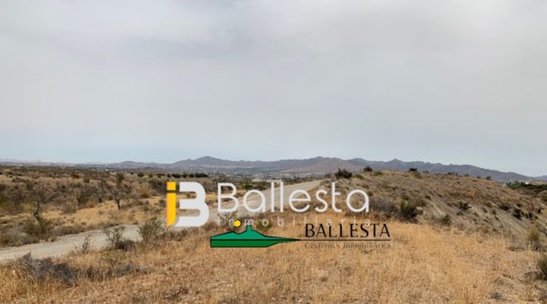 Almería - Huércal-Overa - 28000m2