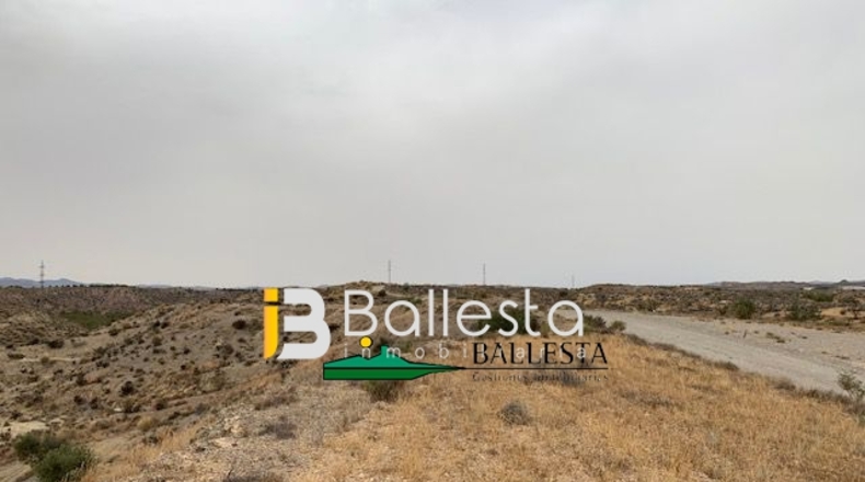 Almería - Huércal-Overa - 28000m2
