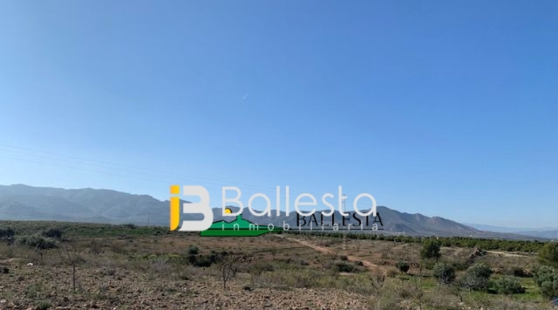 Almería - El Saltador - 20000m2