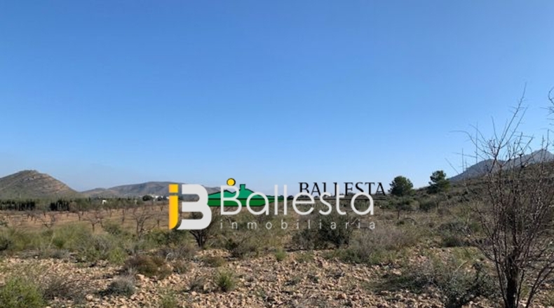 Almería - El Saltador - 20000m2