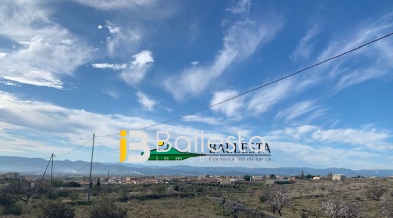 Almería - Huércal-Overa - 12000m2