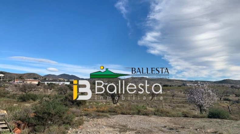 Almería - Huércal-Overa - 12000m2