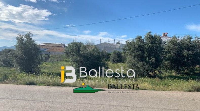 Almería - Huércal-Overa - 10000m2