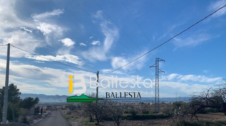 Almería - Huércal-Overa - 9000m2