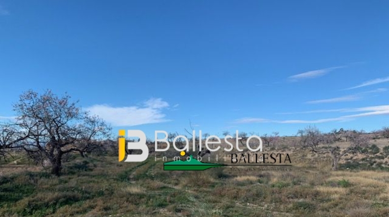 Almería - Huércal-Overa - 9000m2