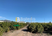 Finca rústica en venta en Huércal-Overa ref: TR37243 foto
