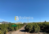 Finca rústica en venta en Huércal-Overa ref: TR37243 foto