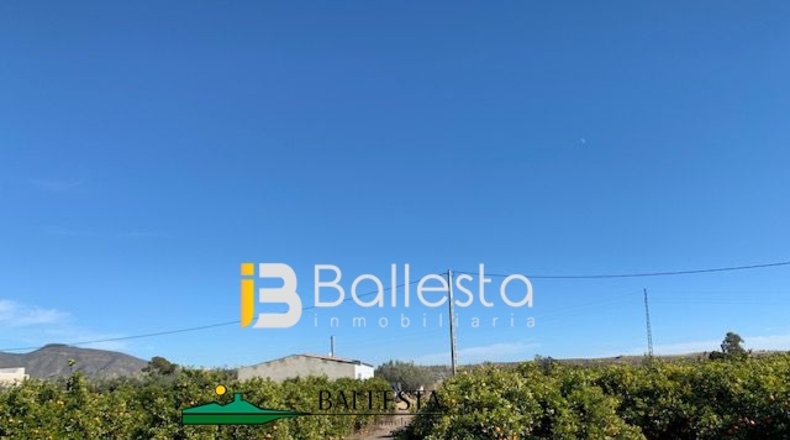 Almería - San Francisco - 20000m2