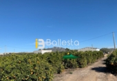 Finca rústica en venta en Huércal-Overa ref: TR37243 foto