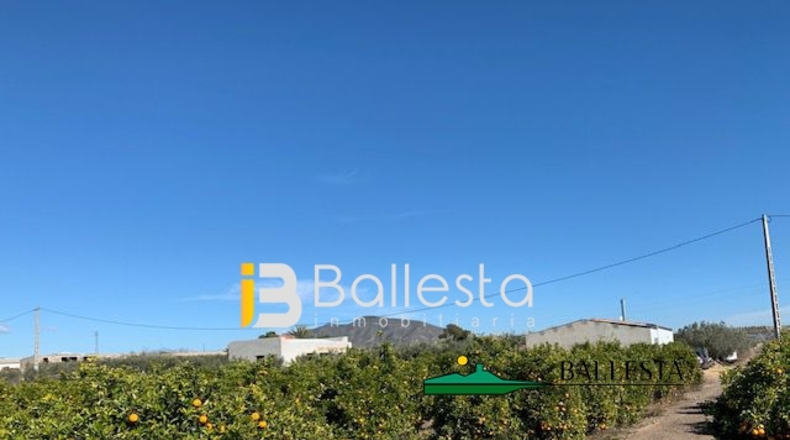 Almería - San Francisco - 20000m2