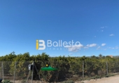 Finca rústica en venta en Huércal-Overa ref: TR37243 foto