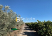Finca rústica en venta en Huércal-Overa ref: TR37243 foto