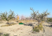 Non-developable land for sale in Huércal-Overa ref: TR37082 photo