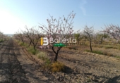 Non-developable land for sale in Huércal-Overa ref: TR37082 photo