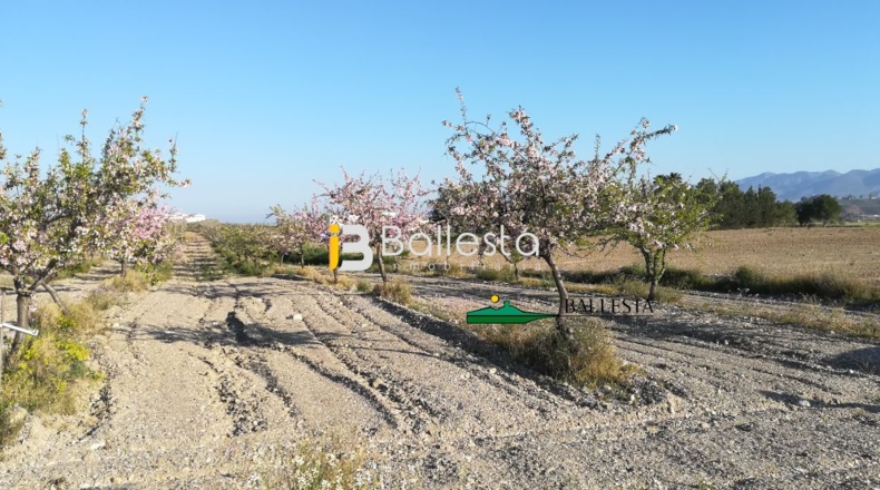 Almería - Huércal-Overa - 15143m2